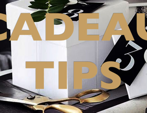 Holiday gifts for this season