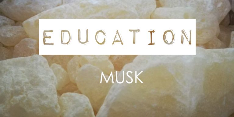 Ingredient Knowledge · MUSK – The Scent Company