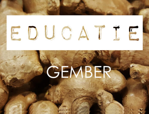 Ingredient Kennis · GEMBER