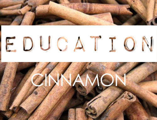 Ingredient Knowledge · CINNAMON