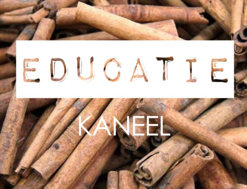 Ingredient Kennis · Kaneel