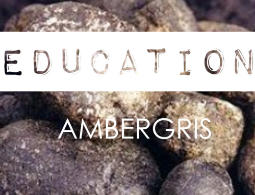 Ingredient Knowledge · AMBERGRIS