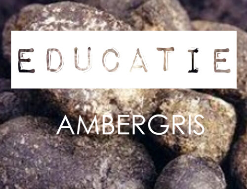 Ingredient Kennis · Amber