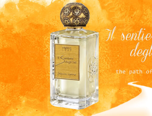 NEW! IL SENTIERO DELGI DEI