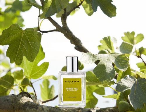 White Fig & Cashmere