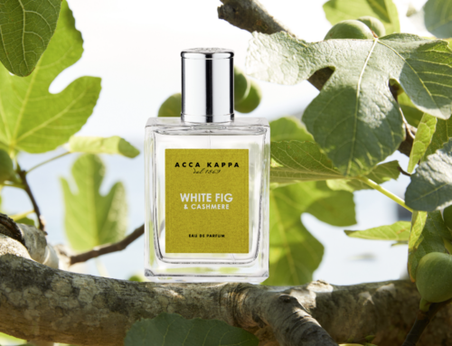 WHITE FIG & CASHMERE